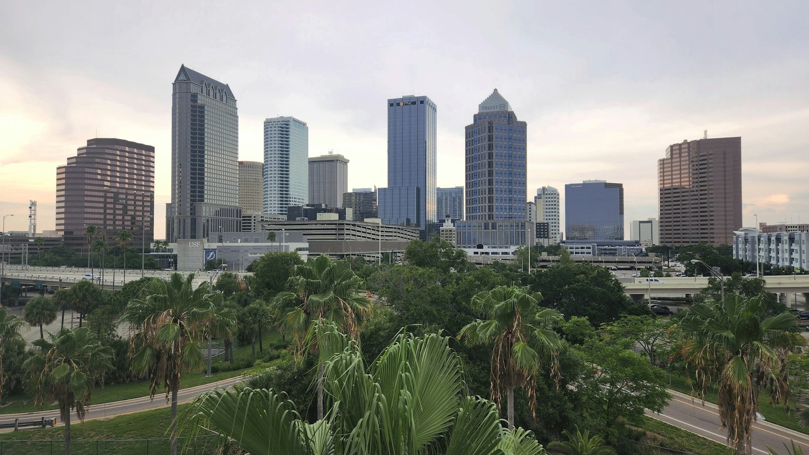 Downtown Tampa towers rising above green palms in the soft evening light