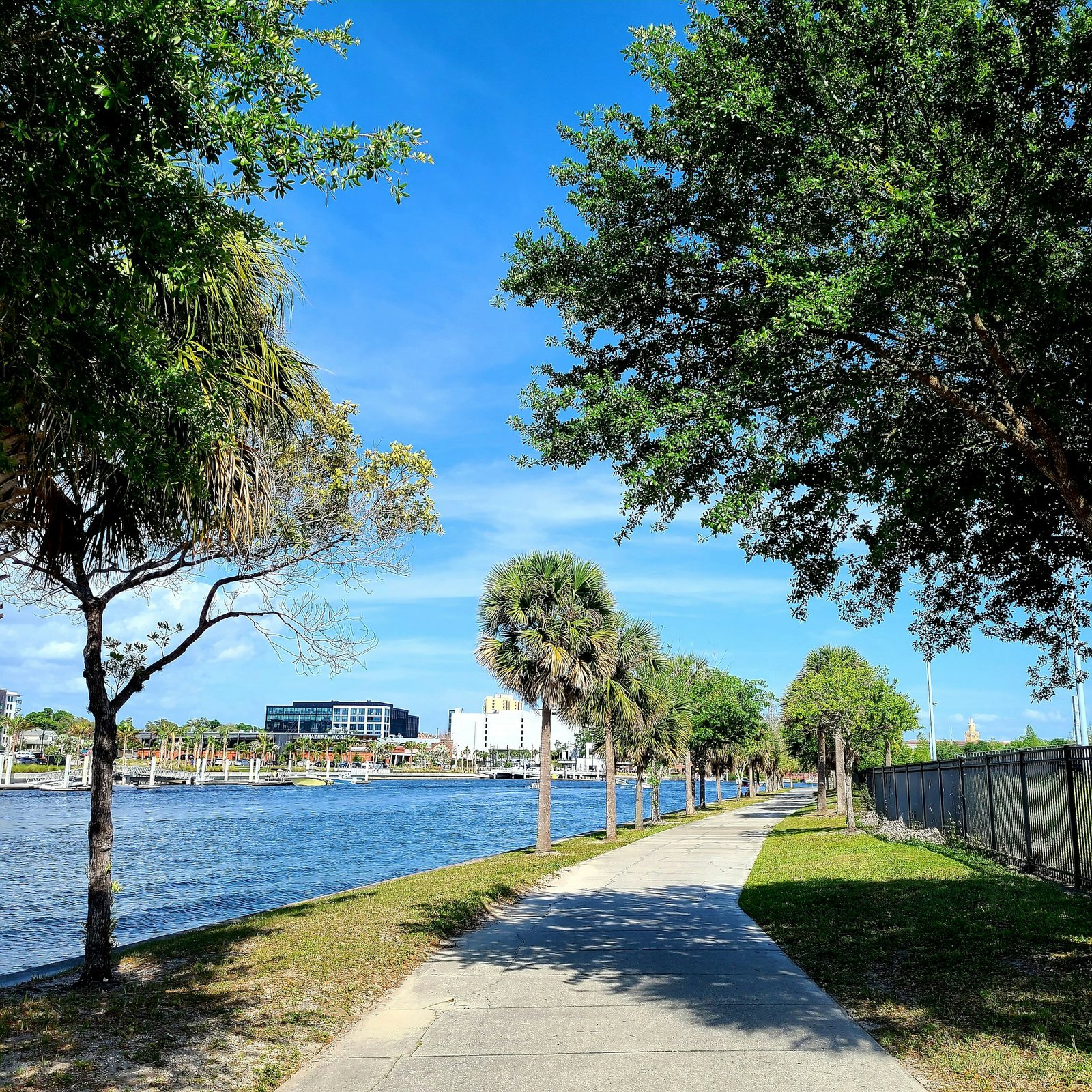 Tampa waterfront path with Armature Works across the river